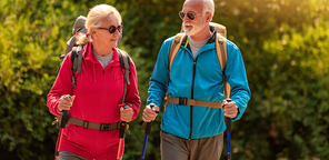 Activité physique senior 