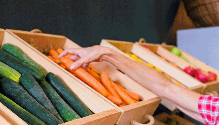 alimentation-saison